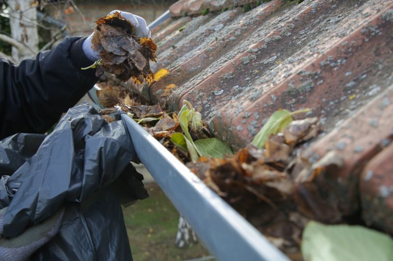 Gutter Cleaning Service